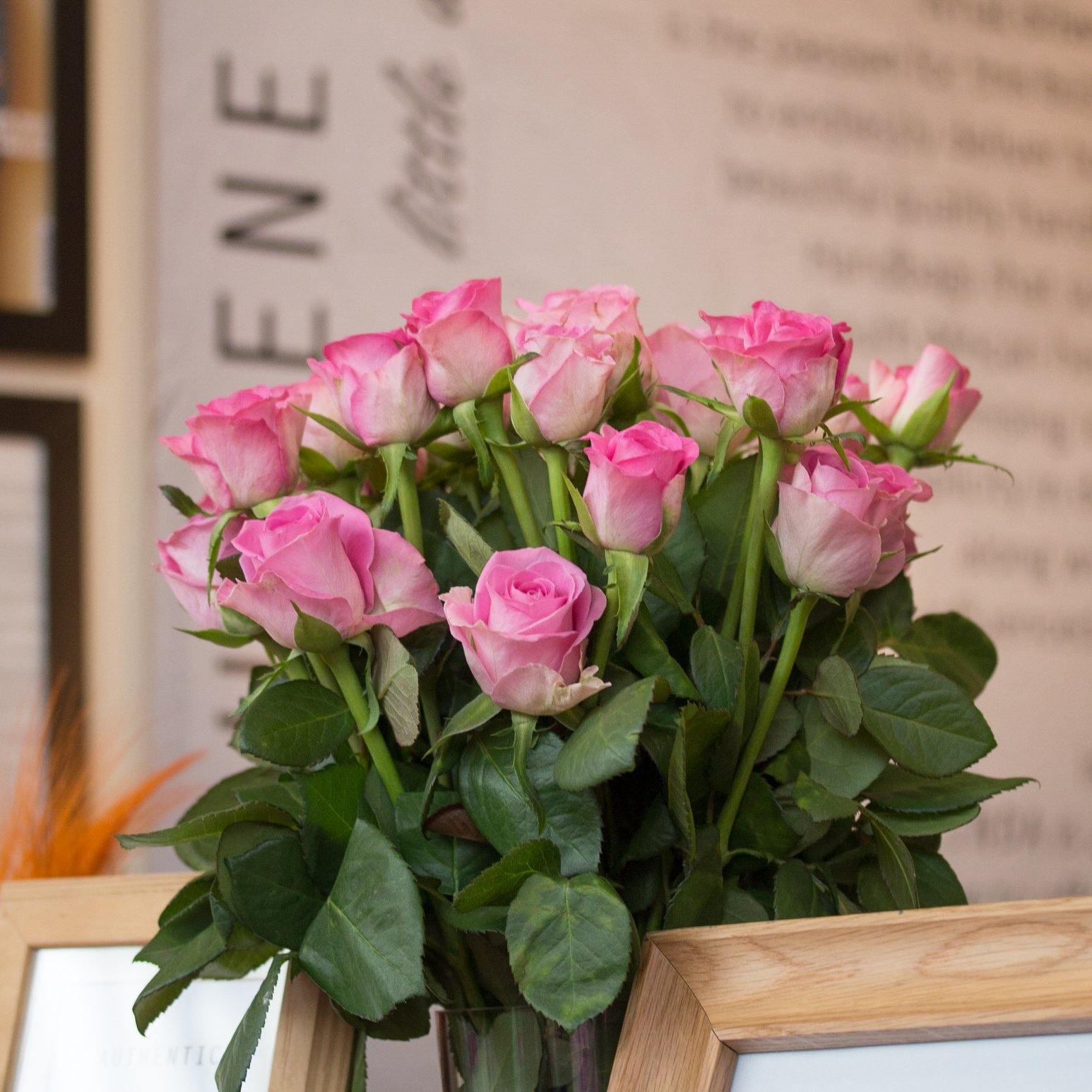 Summer is on its way! - SHERENE MELINDA